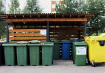 Собираемость платежей за вывоз твердых коммунальных отходов в 2023 году в целом по России достигла 95,5 процента, сообщает Российский экологический оператор. В Петербурге этот показатель даже выше – 97 процентов.
