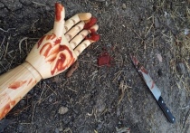 Второе за 1,5 недели убийство с расчленением произошло в Астрахани