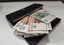 Житель Хабаровска сильно задолжал собственной дочери по алиментам, сумма долга превысила отметку в 1,5 миллиона рублей