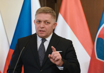 Премьер-министр Словакии Роберт Фицо заявил, что решение чешского правительства отказаться от совместных заседаний со словацким кабинетом министров обусловлено интересом в поддержке украинского конфликта, в то время как словацкие власти придерживаются мирной позиции