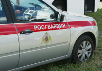 Свадебный кортеж пришлось останавливать сотрудникам правоохранительных органов в Ханты-Мансийском автономном округе