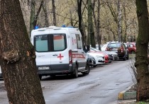 35-летняя жительница Санкт-Петербурга сообщила в полицию, что накануне вечером пришла в свою квартиру в Дизельном проезде, которую сдавала удаленно, и обнаружила там избитую девушку в очень тяжелом состоянии