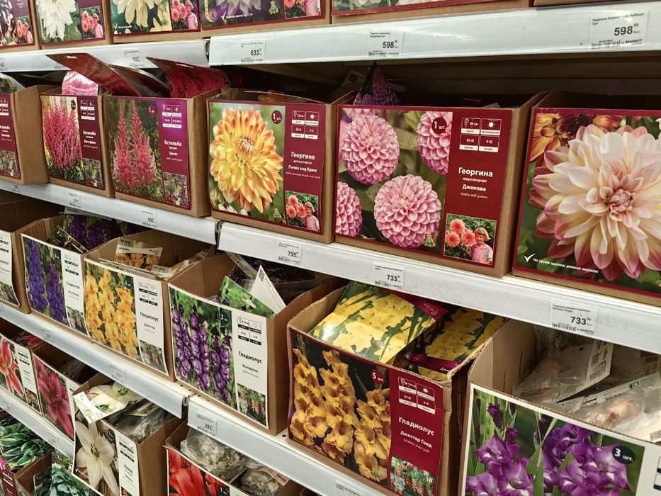 Какие семена продают в Хабаровске: фото из магазина