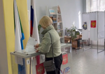 Активность на избирательных участках Хабаровского края растет