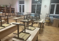 В школах Ростовской области с 1 сентября будут введены два новых предмета в учебную программу