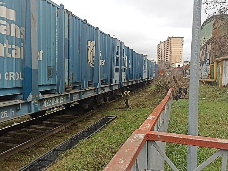 “Железные дороги Новороссии” запустили грузоперевозки между Ростовской областью и Крымом