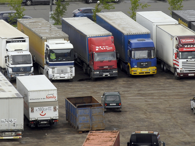 Литва объяснила проблемы с въездом в страну грузовиков из России