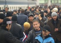 На период проведения СВО въезд мигрантов в РФ необходимо ограничить, заявил депутат Госдумы от Крыма Михаил Шеремет