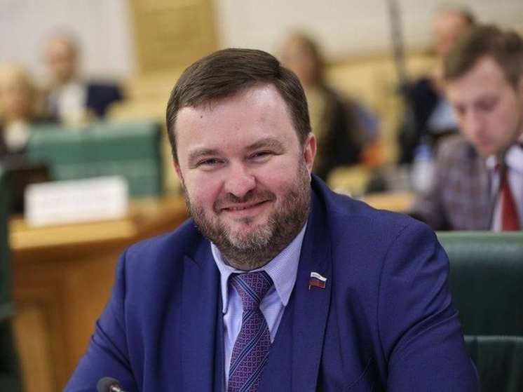 Киевский режим заочно приговорил сенатора Ворону к 12 годам тюрьмы