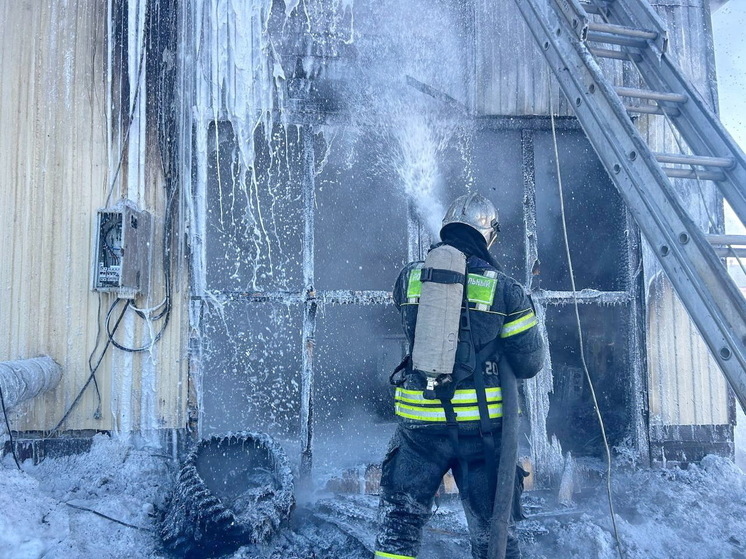 Ямальские спасатели показали кадры с тушения пожара в СНТ «Надежда» Салехарда