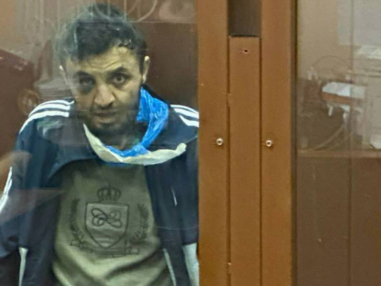 Восемь подозреваемых в теракте в Подмосковье задержаны: чем жили, что сотворили