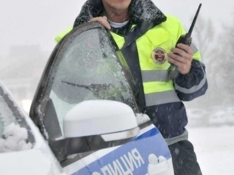 В Сеяхе снегоходчик опрокинул сани и отправил пассажира на больничную койку