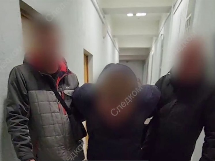 Задержан подозреваемый в убийстве 11-летней девочки из Порховского района
