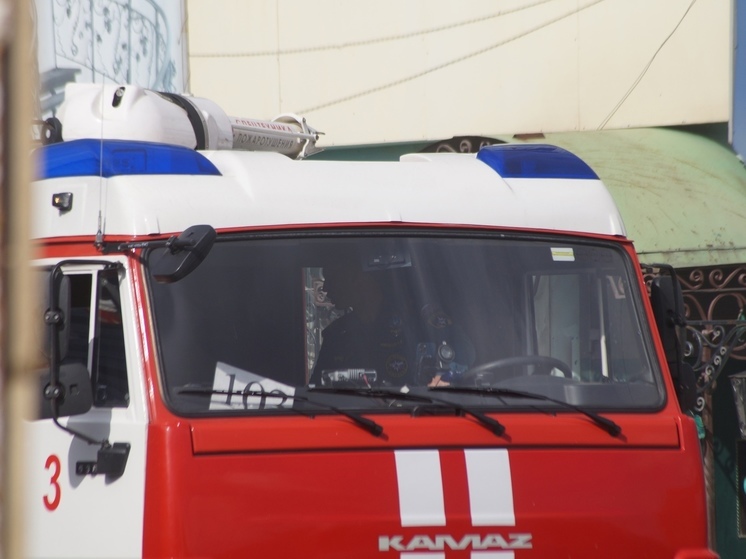 В красноярском ТЦ «Авиатор» сработала пожарная сигнализация
