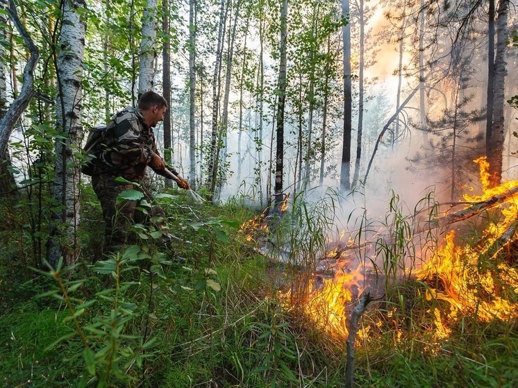Свердловский губернатор утвердил план тушения возгораний в лесном фонде