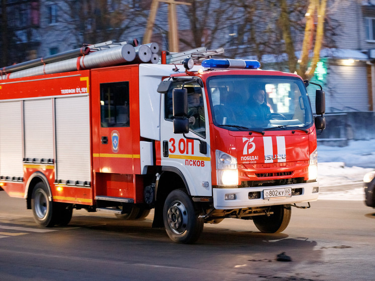 Двоих детей спасли из пожара в многоквартирном доме под Псковом