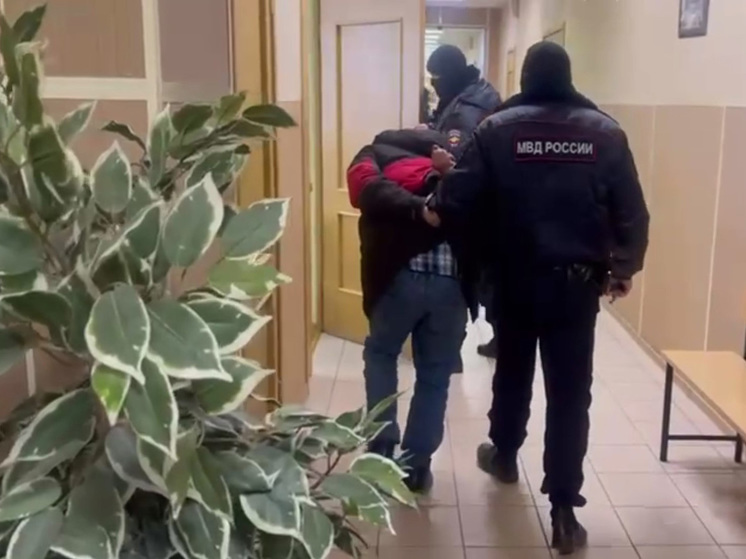 Прокуратура Петербурга показала цепь, на которой отец держал свою 12-летнюю дочь