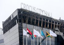 Вице спикер ГД Анна Кузнецова назвала киевский режим катализатором международного терроризма

