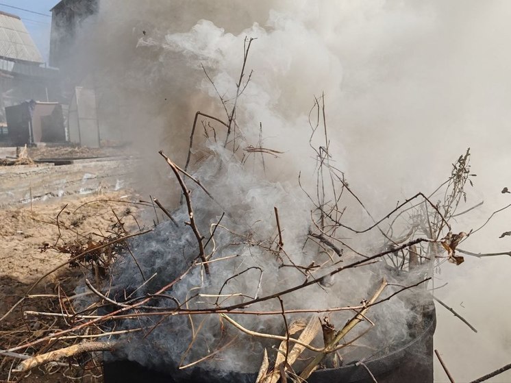 Депутат Чаплин назвал наказание, грозящее за сжигание мусора на даче