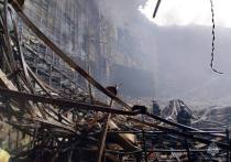 МЧС сообщило о появлении постороннего на месте проведения аварийно-спасательных работ в "Крокус Сити Холле" после теракта