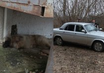 Губернатор Курской области Роман Старовойт сообщил об убийстве щенка в Золотухинском районе, в котором обвинили местных чиновников