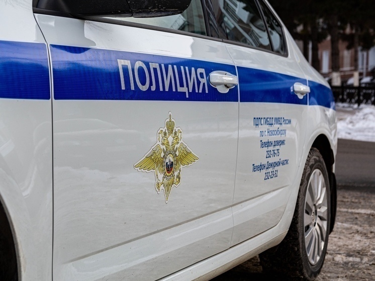 В Новосибирске перепродали машину убитой вместе с дочкой женщины