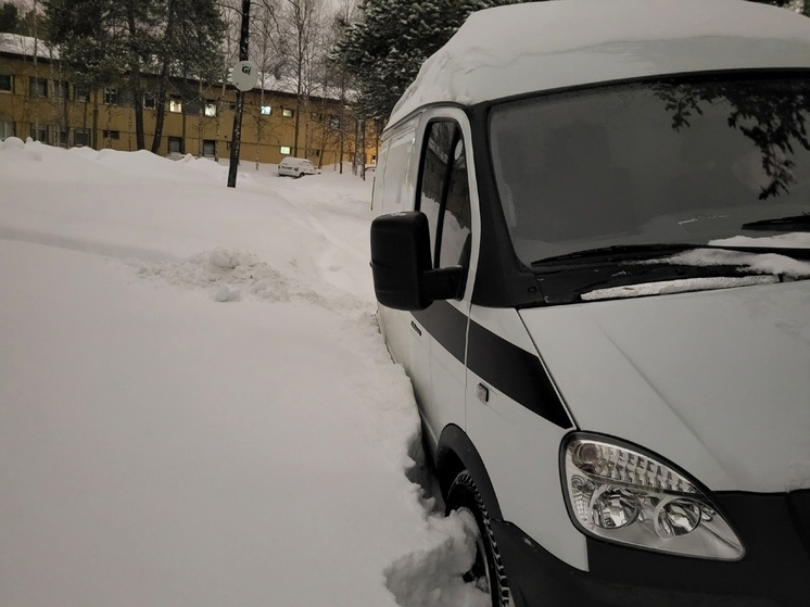 В Ноябрьске застрявшую в снегу скорую пыталась вытащить машина ритуальных услуг