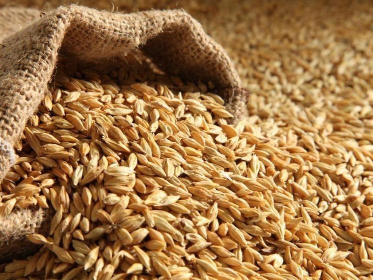 Запорожская область отправляет на экспорт около 1 млн тонн зерна в год