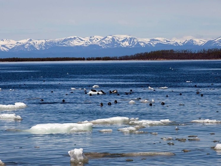 Владимир Путин объявил о планах по развитию курортов на берегах российских морей и озера Байкал