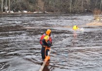 Мужчина пропал при сплаве по реке Тосна. Это случилось вечером 28 марта, сообщила пресс-служба аварийно-спасательной службы Ленобласти.