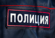 МВД России переобъявило в розыск активистку Ольгу Мисик, сообщает ТАСС со ссылкой на базу розыска ведомства