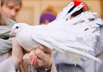 Православные хабаровчане 7 апреля запустят в небо белых голубей 

