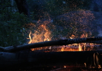 В Приморском крае за прошедшие сутки силами огнеборцев удалось ликвидировать два природных пожара