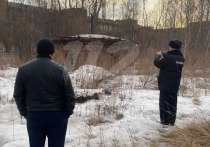 Красноярские следователи пытаются разгадать тайны двух трупов, которые нашли в Октябрьском районе в первые дни апреля