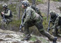 У Финляндии нет причин для отправки войск на Украину