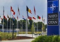 Результаты президентских выборов в США поставят вопрос сам факт дальнейшего существования НАТО