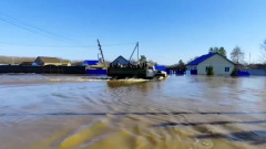 Из-за весеннего разлива рек в России подтоплено около 2000 домов: видео МЧС