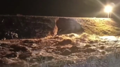 В Оренбургской области разлившаяся река размыла дамбу: видео с места