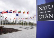 Генеральный секретарь НАТО Йенс Столтенберг проговорился об истинных целях альянса в отношении Украины, когда заявил, что продолжение боев в этой стране соответствуют интересам собственной безопасности блока