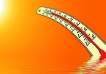 Потепление в Москве ожидается уже на выходных, а на следующей неделе в столице температура достигнет 20 градусов, сообщил руководитель прогностического центра «METEO» Александр Шувалов