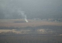 Первый в Красноярском крае в 2024 году лесной пожар произошел в Шарыповском районе близ озера Инголь