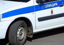 Правоохранительные органы не подтверждают информацию о задержании подозреваемого в нападении на полицейских в Щелковском городском округе Московской области