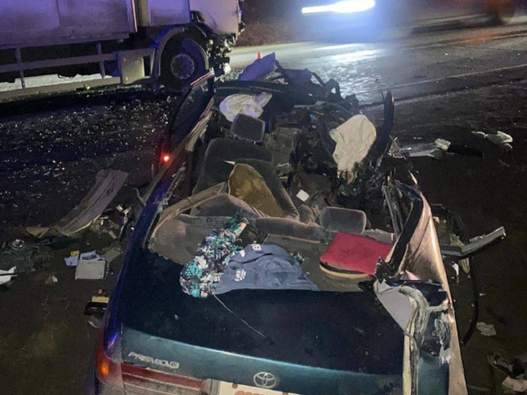 Под Красноярском в ДТП с грузовиком пострадали водитель и двое детей