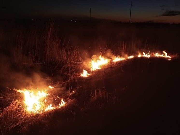 В Томаринском районе загорелась трава на площади 60 кв м