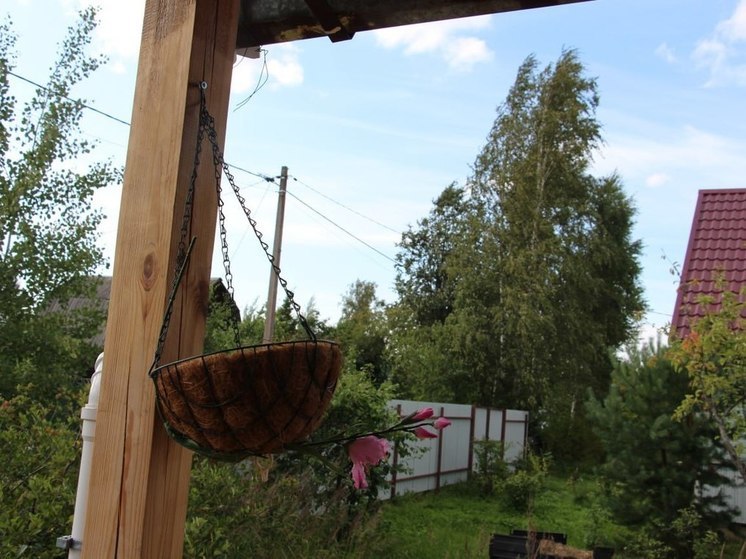 Калининградцам рассказали, какие растения нельзя сажать на даче
