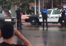 В результате массовой стрельбы в американском Новом Орлеане была убита женщина, еще 11 человек получили ранение