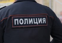 Как сообщает в Телеграм пресс-служба Транспортной полиции Сибири, в Кемеровской области правоохранителями была предотвращена попытка диверсии на железной дороге