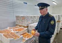 В Екатеринбург из Китая прибыли 4 тонны манго и 4 тонны ананасов