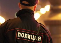 В пресс-службе ГУ МВД РФ по Ростовской области сообщили о начале проведения проверки по факту смерти мужчины, при попытке его задержания сотрудниками правоохранительных органов