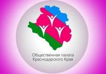 При Общественной палате Краснодарского края (ОПКК) формируется новый пул экспертов